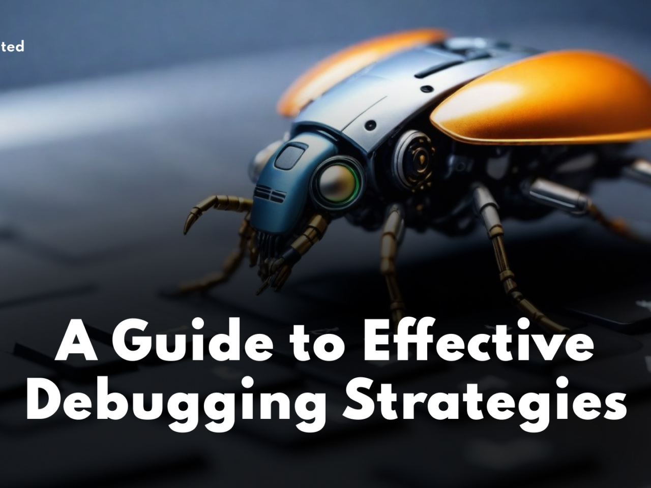 A Guide to Effective Debugging Strategies